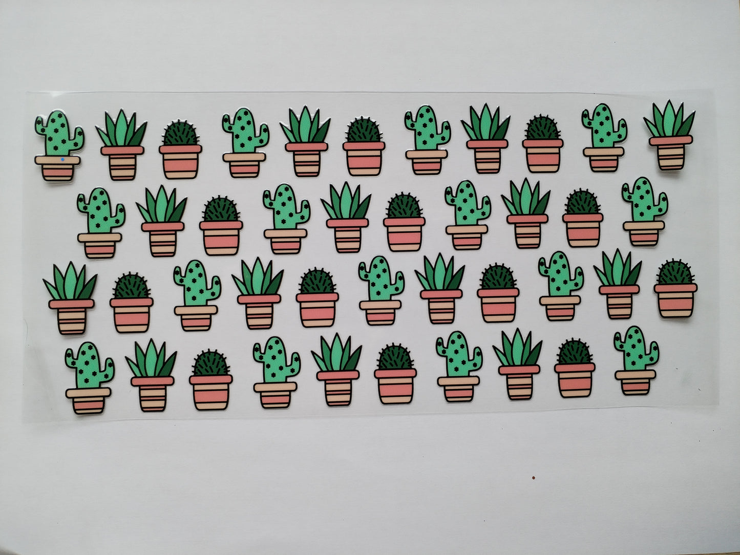 CACTUS