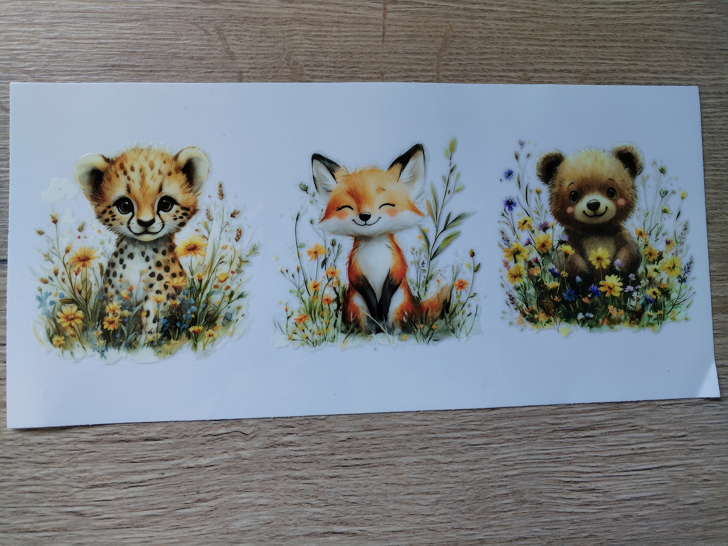 ANIMAUX