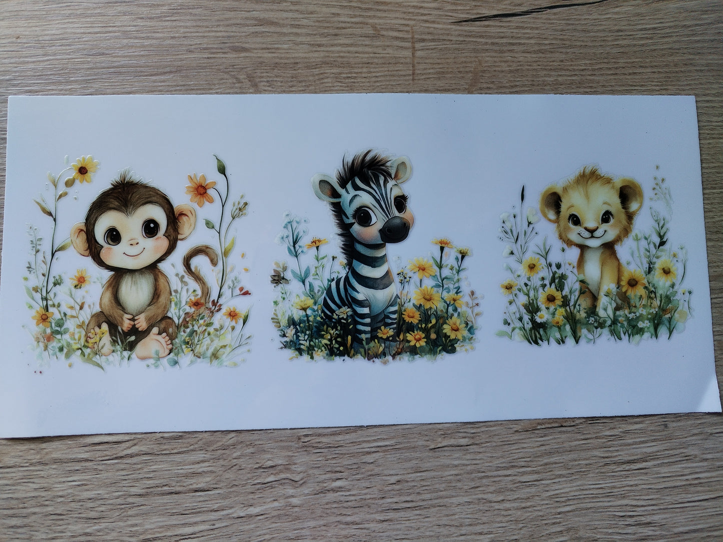 ANIMAUX