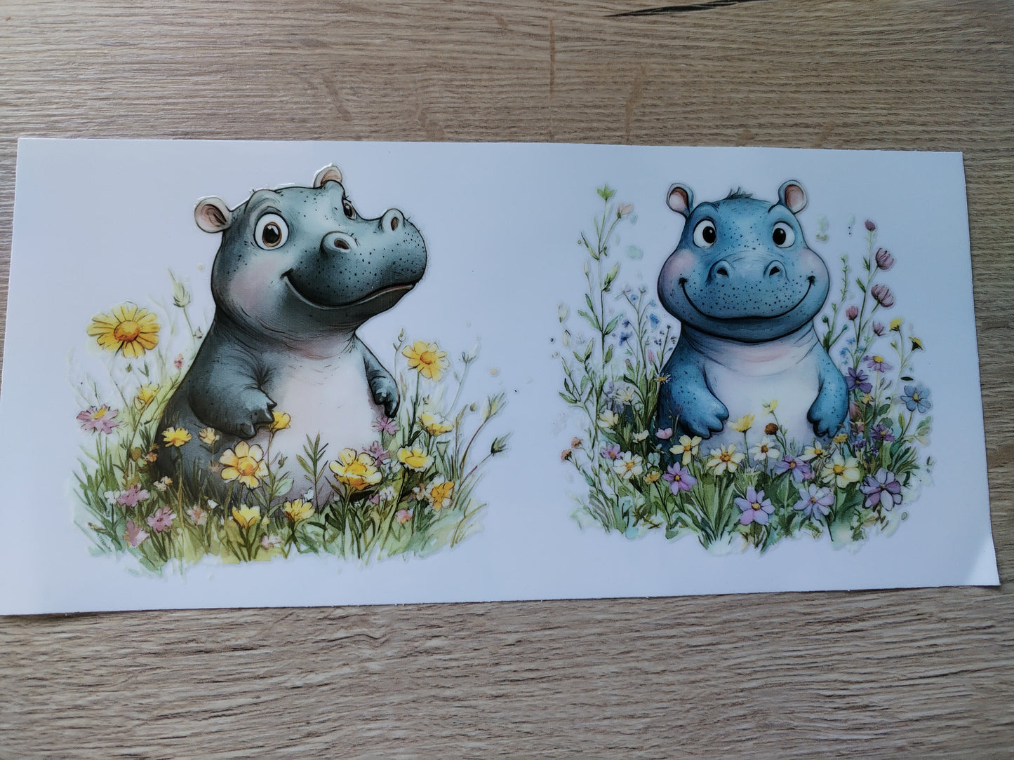 ANIMAUX