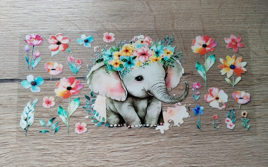 ÉLÉPHANTS 🐘